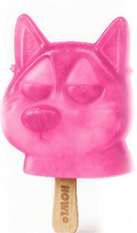 Mascotte HOWLO en glace 3D qui tourne sur elle-même ; motion design de la marque HOWLO studio studio graphique basé à Pau et spécialisée dans les identités graphiques.