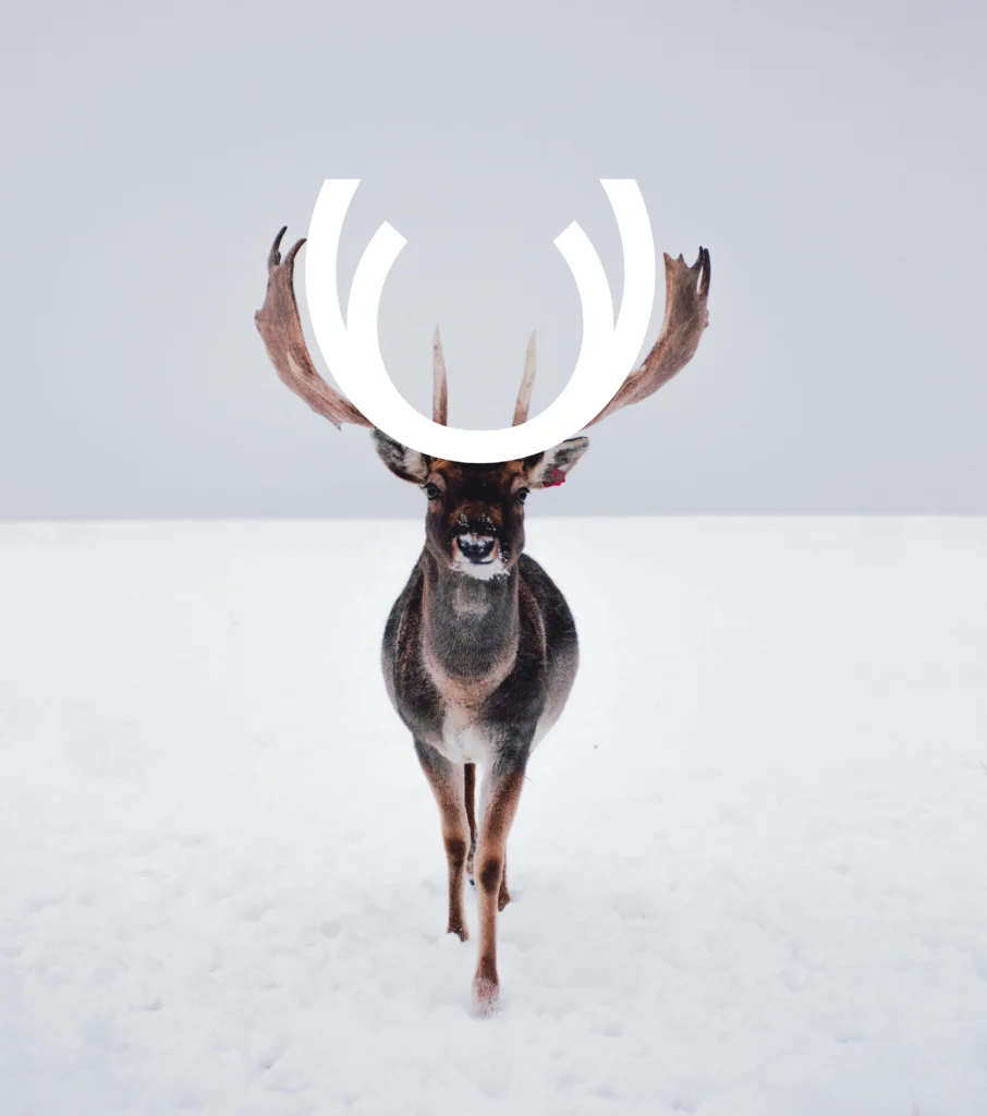 Logo altitude intégré sur la tête d'un cerf dans un paysage enneigé, symbolisant la fusion entre nature et design moderne.