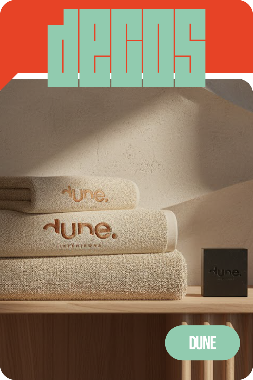 Projet Canard - Image principale