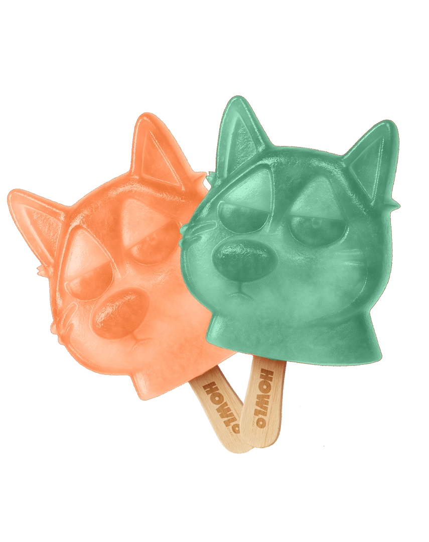 Duo Glaces